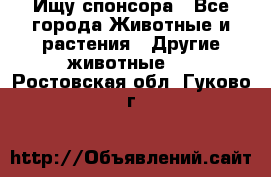 Ищу спонсора - Все города Животные и растения » Другие животные   . Ростовская обл.,Гуково г.